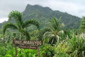 Mount Maruyog